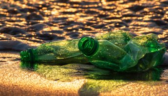 impacto ambiental de los plásticos